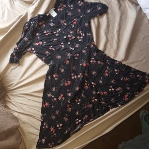 Button Down Skater Dress